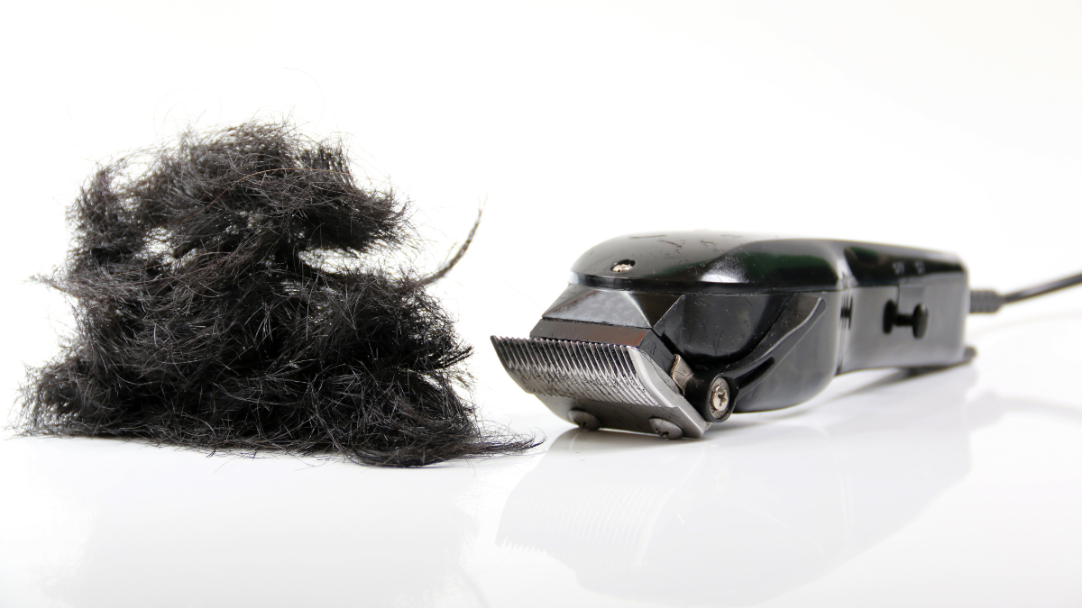 Tagliacapelli nero professionale su una superficie bianca con capelli neri tagliati - tagliacapelli da barbiere premium per tagli di capelli precisi.